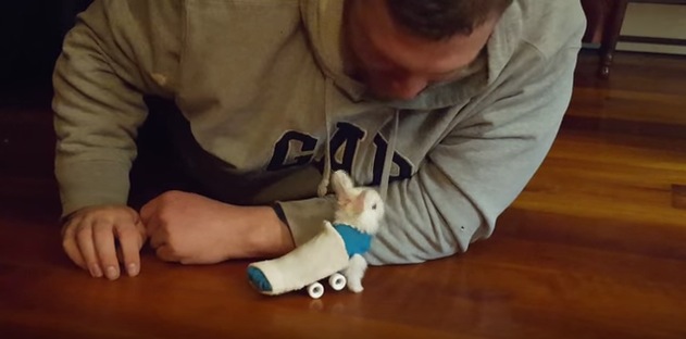 後ろ足が不自由な小ウサギにスケートボードを取り付けたら。。