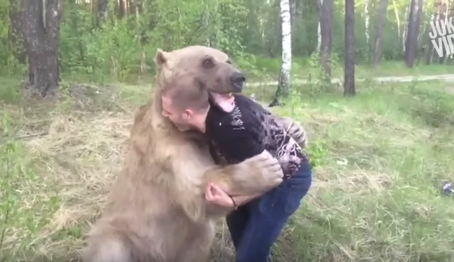 熊と相撲をとる男性
