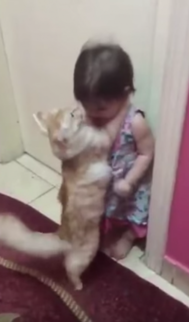怖がる女の子をギュッとハグする猫
