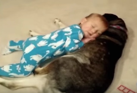 寝落ち寸前の赤ちゃんとそれを見守る犬