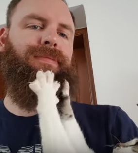 もじゃもじゃお髭をニギニギするのが好きな猫
