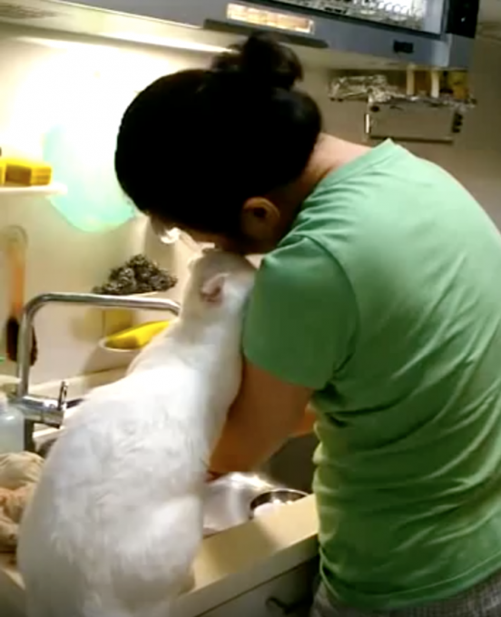 飼い主さんとラブラブで幸せそうな猫に癒される動画