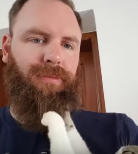 もじゃもじゃお髭をニギニギするのが好きな猫